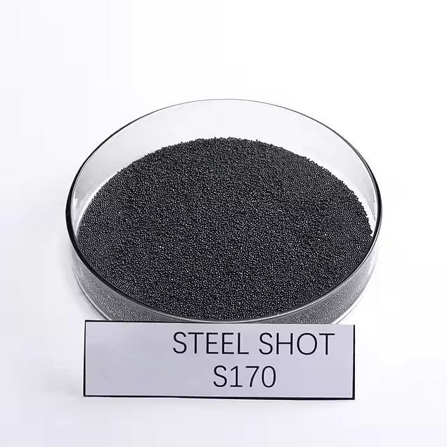 S170 Steel Shot